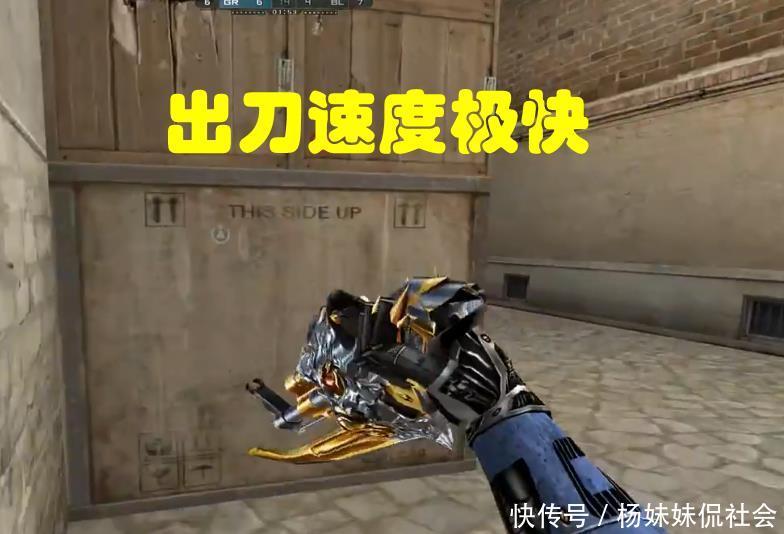 队真正的命 队真正的命